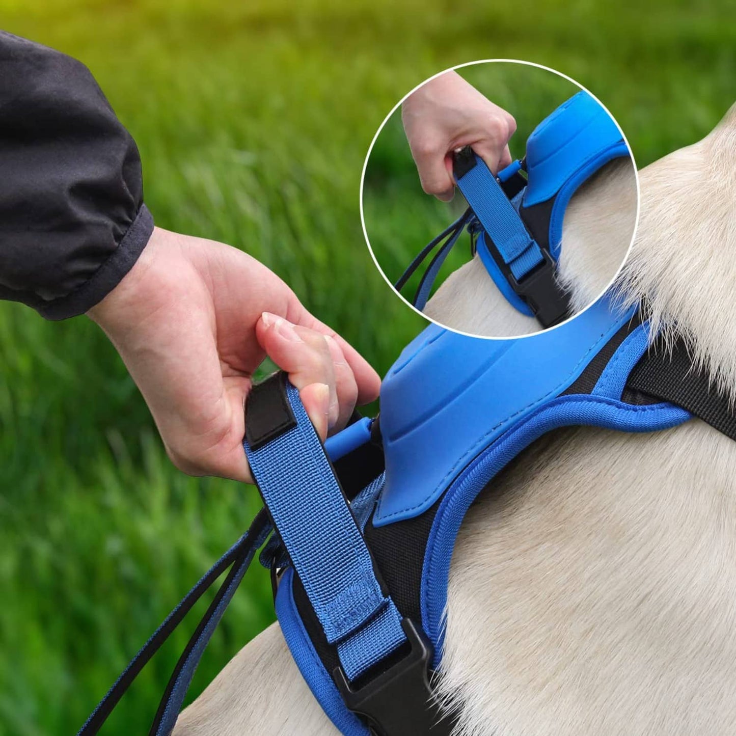 EasyWalk - 3 in 1 Adjustable Dog Harness with Built-In Leash