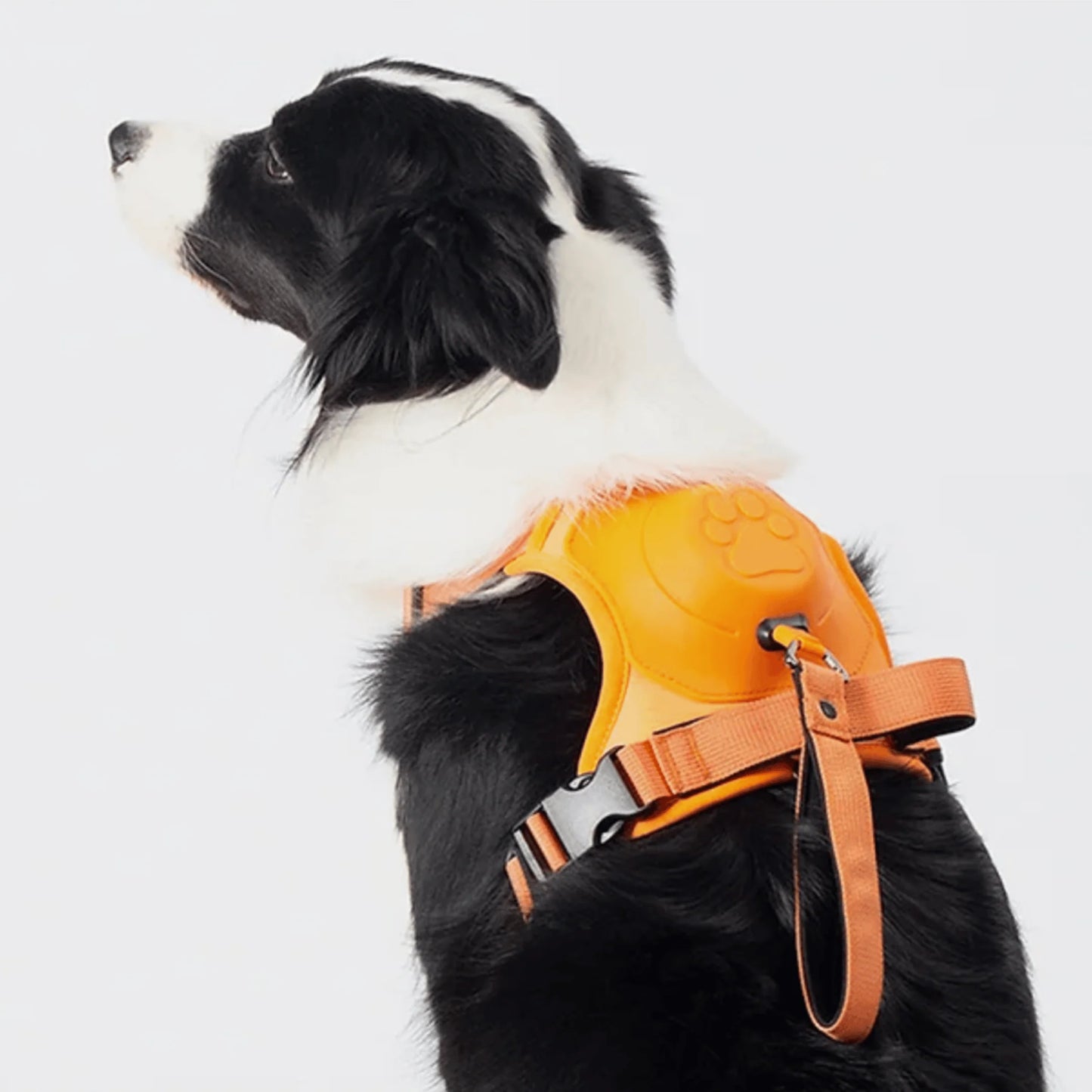 EasyWalk - 3 in 1 Adjustable Dog Harness with Built-In Leash