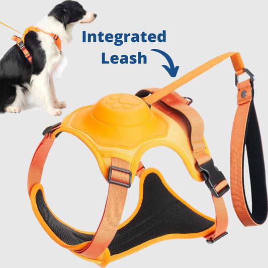 EasyWalk - 3 in 1 Adjustable Dog Harness with Built-In Leash